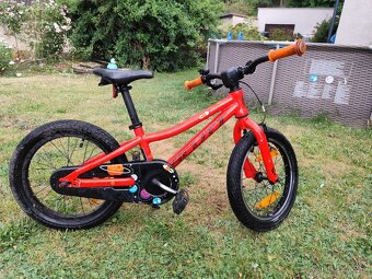 Skott roxter 16 - 6