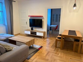 Pronájem bytu 2+1, Žižkov, se zahrádkou - 6