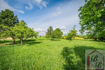 Prodej stavebního pozemku 2.194 m2, obec Němčice, okres Mlad - 6