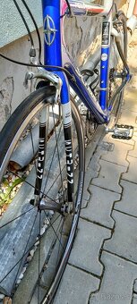 Silniční kolo Peloton - 6