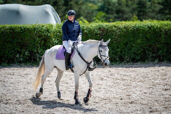 Drobnější klisna ČT - 6