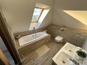 PRODÁM Dům v obci NOVÁ VES u Loun (200m2) Pozemek 1700m2 - 6