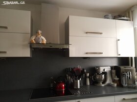kvalitní lesklá dvířka s panty pro kutily - 6