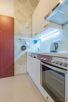 Pronájem bytu 1+1, U Pernštejnských, Praha - Nusle, Praha 4 - 6