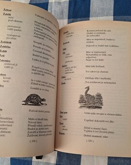 Kniha Velký snář-D. Kludská - 6