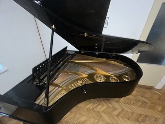 Klavírní křídlo - 6