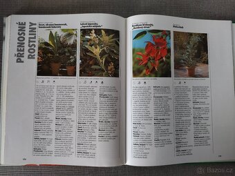 Kniha - Balkonové rostliny – JAKO NOVÁ - 6