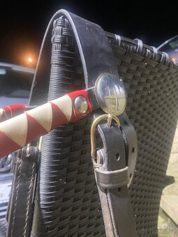 Postroje na poníky do vozu - 6