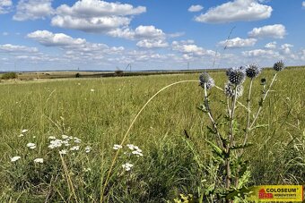 Znojmo, stavební parcela pro výstavbu komerčních objektů, 22 - 6