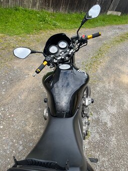 Prodám/vymenim Hornet 600 - 6