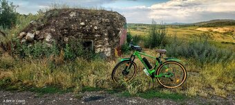 Skoda Ebike - 6