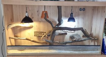 Terarium zlaty Dub 150cm - 6