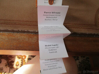 Pěkná hnědá kožená retro mini knížečka Zoo Praha - 6