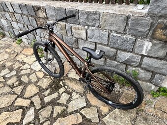 ROSE THE BRUCE 2 (2023) M - 6