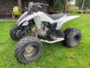 Yamaha Raptor 250 - 6