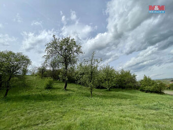 Prodej louky, 3369 m², Nové Sedlo - 6