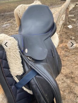 Sedlo Kentaur young jumper - 6