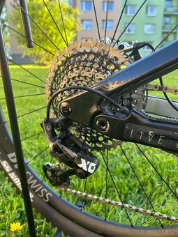 YT Izzo Pro Race 2021– Custom XXL (188+) - 6