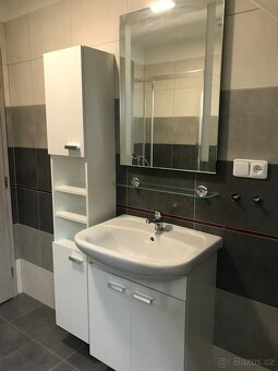 Byt k pronájmu 1+kk (32,9 m2) - 6