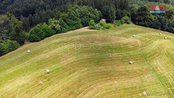 Prodej louky, 14409 m², Prlov - 6