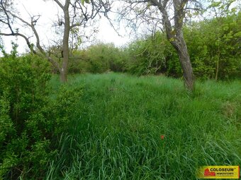 Znojmo, zahrada 609 m2, elektřina, voda, ovocné stromy - zah - 6