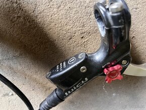 Avid juicy seven - 6