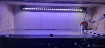 🐠 Prodám 2 kompletně zařízená akvária s rybičkami – 40 l 🐠 - 6