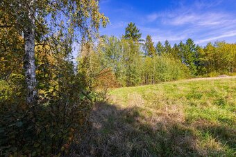 Prodej stavebního pozemku 2 511 m² - 6