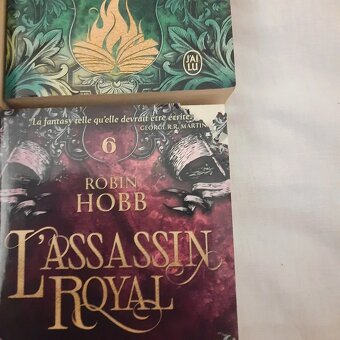 Robin Hobb L'Assassin royal 1-13 - 6
