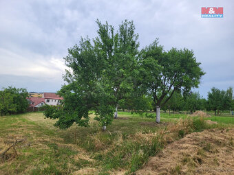 Prodej zahrady, 600 m², Vlčnov - 6