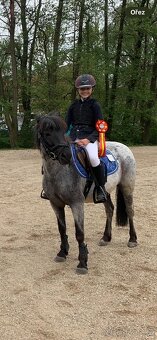 Šikovná pony klisna kat. A na prodej - 6