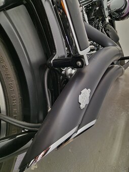 Harley Davidson Breakout FXSB103 zakoupen v ČR - 6