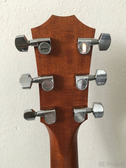 Taylor 414ce celomasiv - 6