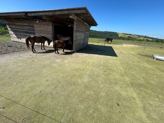Použity uměly travnik a geotextilie - 6
