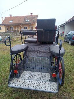 Maratoňák - jednospřeží, pony , koně - 6