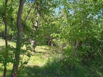 Prodej domu se 2 zahradami a stodolou v Týništi - Zubrnicích - 6