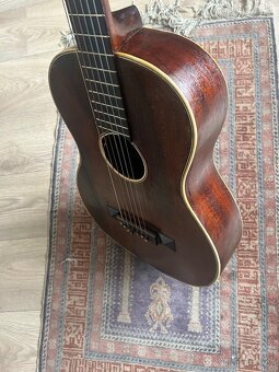 Martin Coletti G40 Masiv  - 6