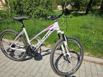 Kolo - 6
