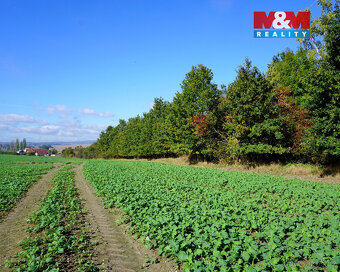 Prodej pozemku k bydlení, 3689 m², Třebeň - 6