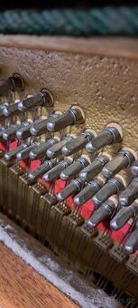 Petrof na blbnutí pro děti nebo na opravu. - 6