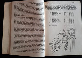 Rapid Plzeň 1944 - Protektorát - 6