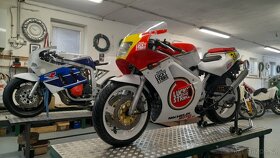 Suzuki RGV 250-3sbirkove kusy - 6