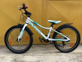 Superior Paint 20 kolo s páčkovým řazením - váha 9,5kg - 6