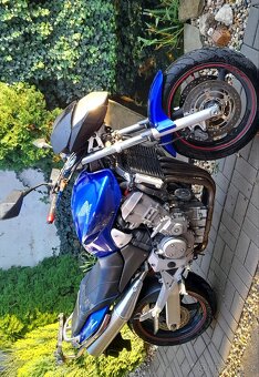 Honda CB 900 Hornet - 6