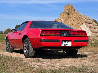 Pontiac Firebird 5.0 V8 Targa 1989 - 6
