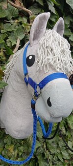 Hobby horse - 6