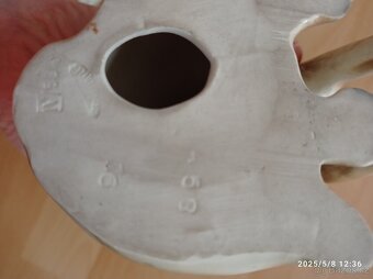 Vlčák, porcelánová soška - 6