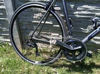 Kolo CTM Blade Race - 6