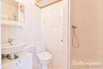 Pronájem bytu 1+kk, Jedovnická, Líšeň, 11500 Kč/měs, 22 m2 - 6