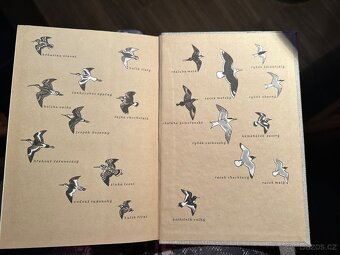 Světem zvířat - 6